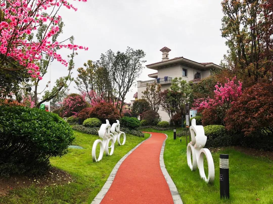 实景图 